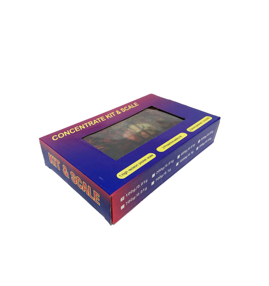 SS101 SCALE 100G/0.01G