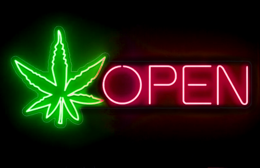 LED NEON SIGN (1CT)