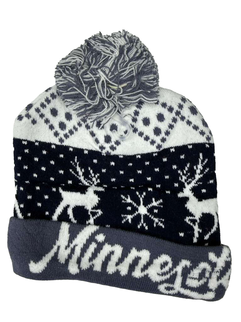 POMPOMS ASSORTED (1CT)