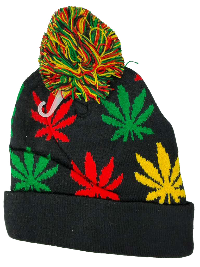 POMPOMS ASSORTED (1CT)