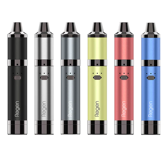 YOCAN REGEN CONCENTRATE ASSORTED (1CT)