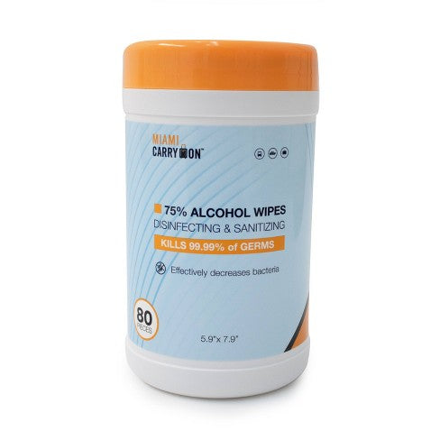 LARGE SANITIZING WIPES (24CT)