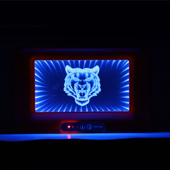 3D LED TRAY ASSORTED (1CT)